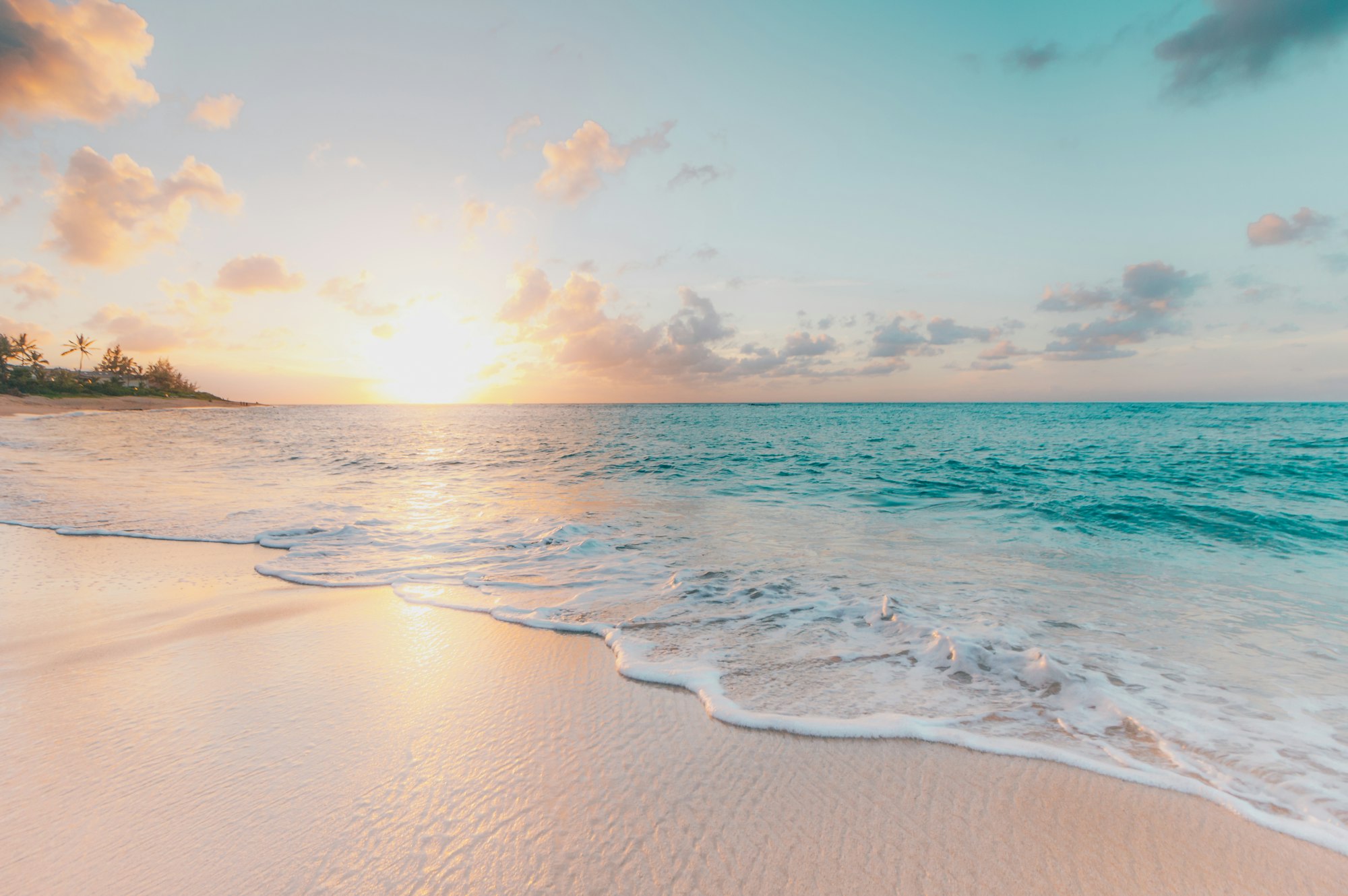 Tropical beach shoreline